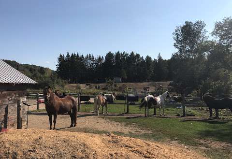 Centre equestre Liberte Equestrian center Centre equestre Liberte Equestrian center